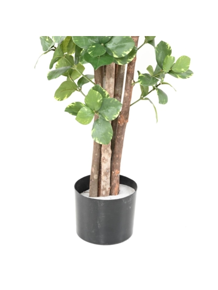 CLUSIA VARIEGATA ARBRE ARTIFICIEL