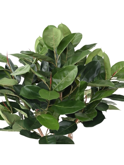FICUS ARTIFICIEL TETE ELASTICA