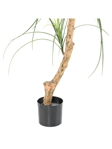 BEAUCARNEA ARTIFICIEL