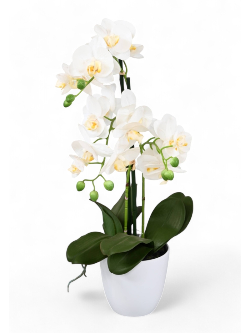 Orchidée artificielle Phalaénopsis en pot