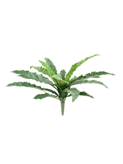 FOUGERE ASPLANIUM DAKILA ARTIFICIELLE