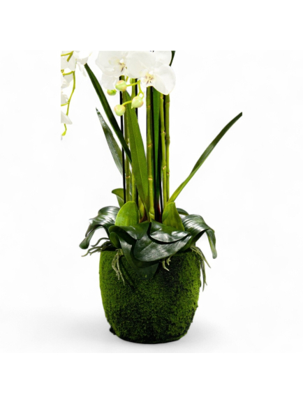 Orchidée artificielle en pot mousse  80 cm