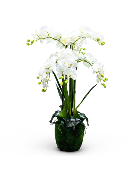 Orchidée artificielle en pot mousse  80 cm