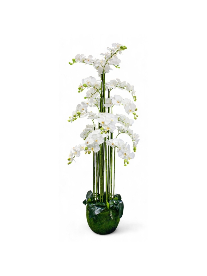 Orchidée artificielle Géante en pot mousse  170 cm