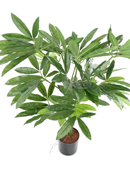 PHILODENDRON ARTIFICIEL GOELDII