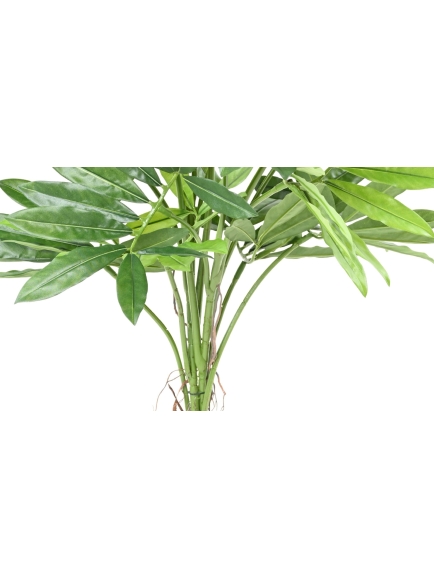 PHILODENDRON ARTIFICIEL GOELDII