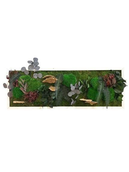 TABLEAU STABILISE CHAMPIGNON