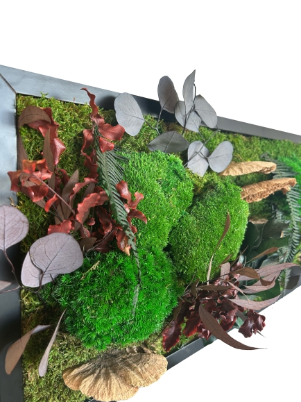 TABLEAU STABILISE CHAMPIGNON