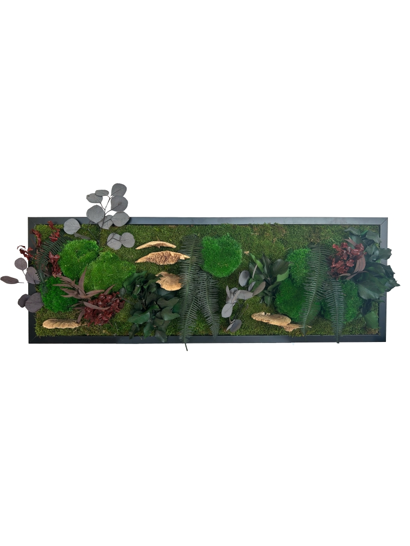 TABLEAU STABILISE CHAMPIGNON