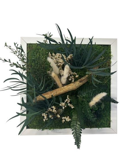 TABLEAU STABILISE BLANC