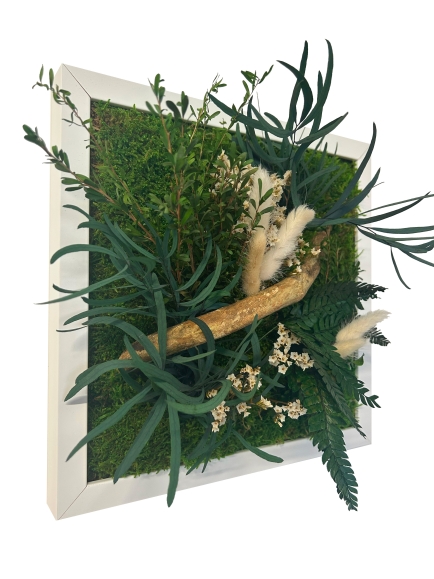 TABLEAU STABILISE BLANC