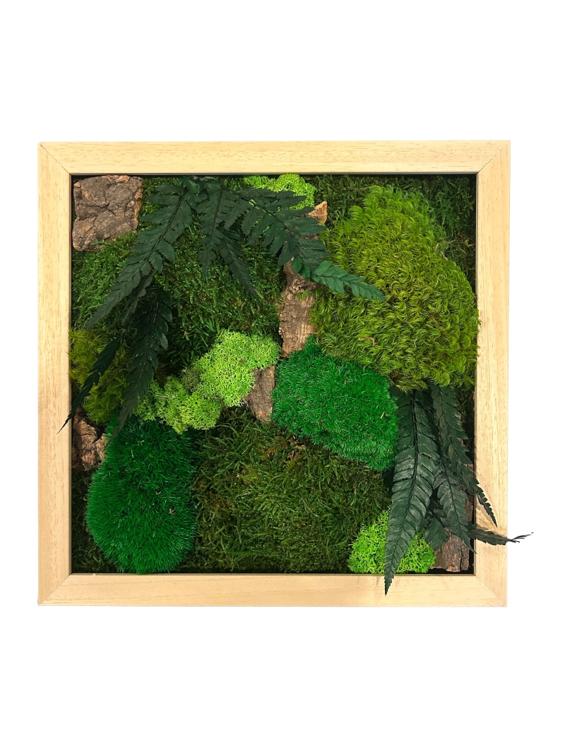 TABLEAU STABILISE CANOPE