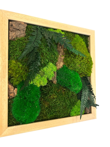 TABLEAU STABILISE CANOPE