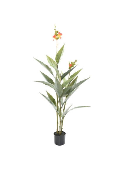 CANNA ARTIFICIEL