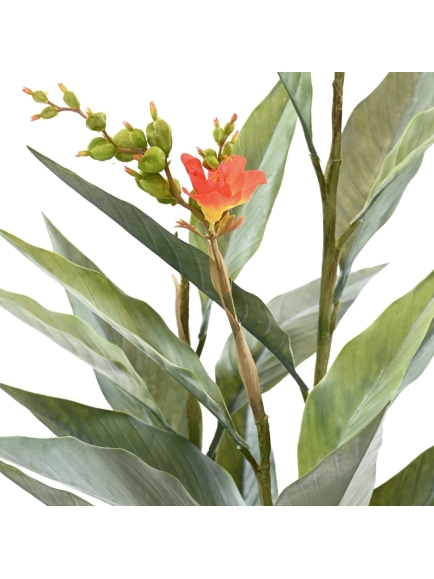 CANNA ARTIFICIEL