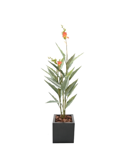 CANNA ARTIFICIEL