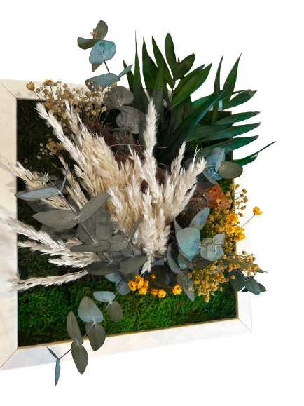TABLEAU STABILISE BLANC