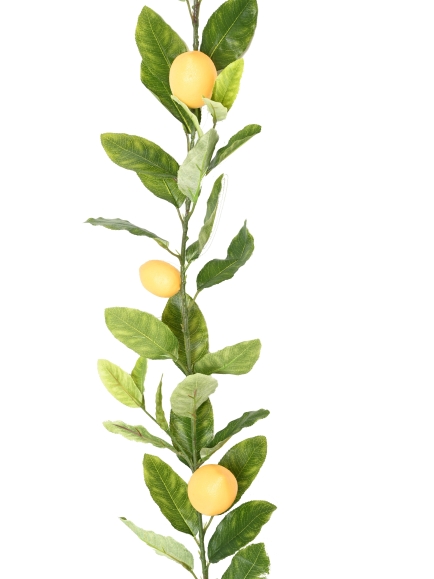 GUIRLANDE DE CITRONS 180