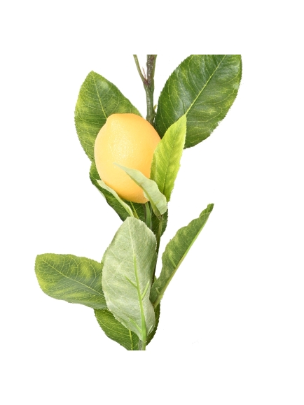 GUIRLANDE DE CITRONS 180