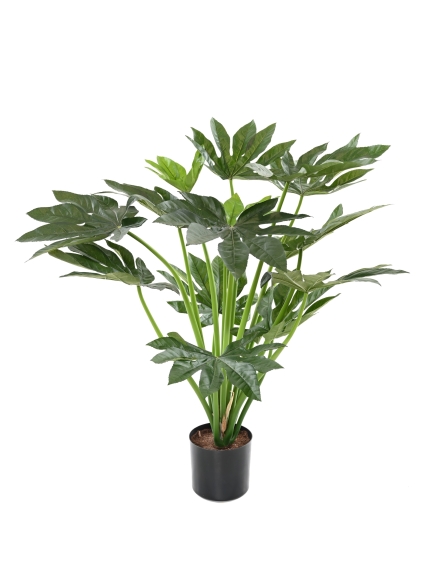 FATSIA JAPONICA ARTIFICIEL