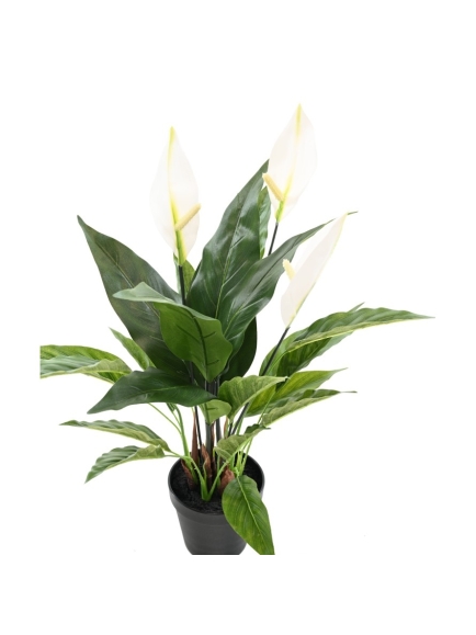SPATHIPHYLLUM ARTIFICIEL