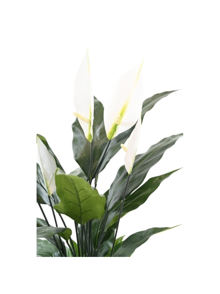 SPATHIPHYLLUM ARTIFICIEL