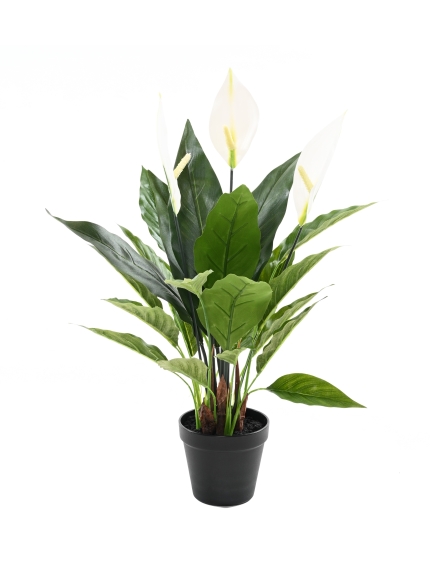 SPATHIPHYLLUM ARTIFICIEL