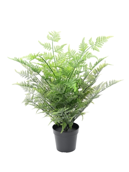 FOUGERE ARTIFICIELLE AUSTRALIENNE