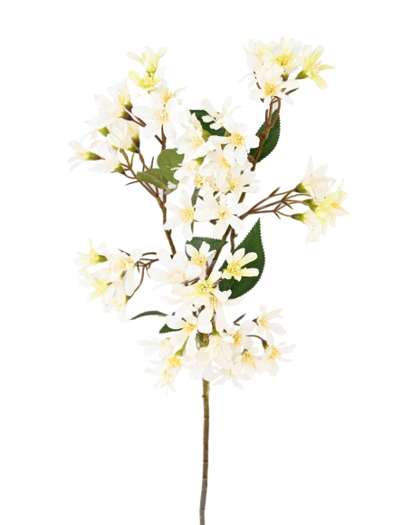 HOHERIA FLEUR ARTIFICIELLE