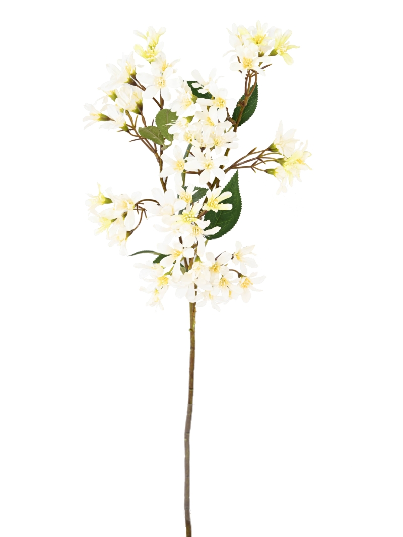 HOHERIA FLEUR ARTIFICIELLE