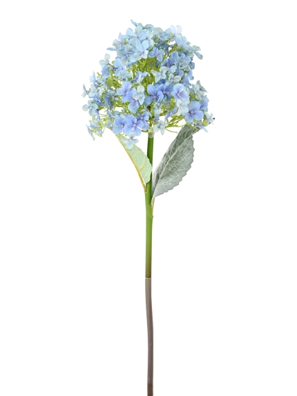 HORTENTIA ARTIFICIEL