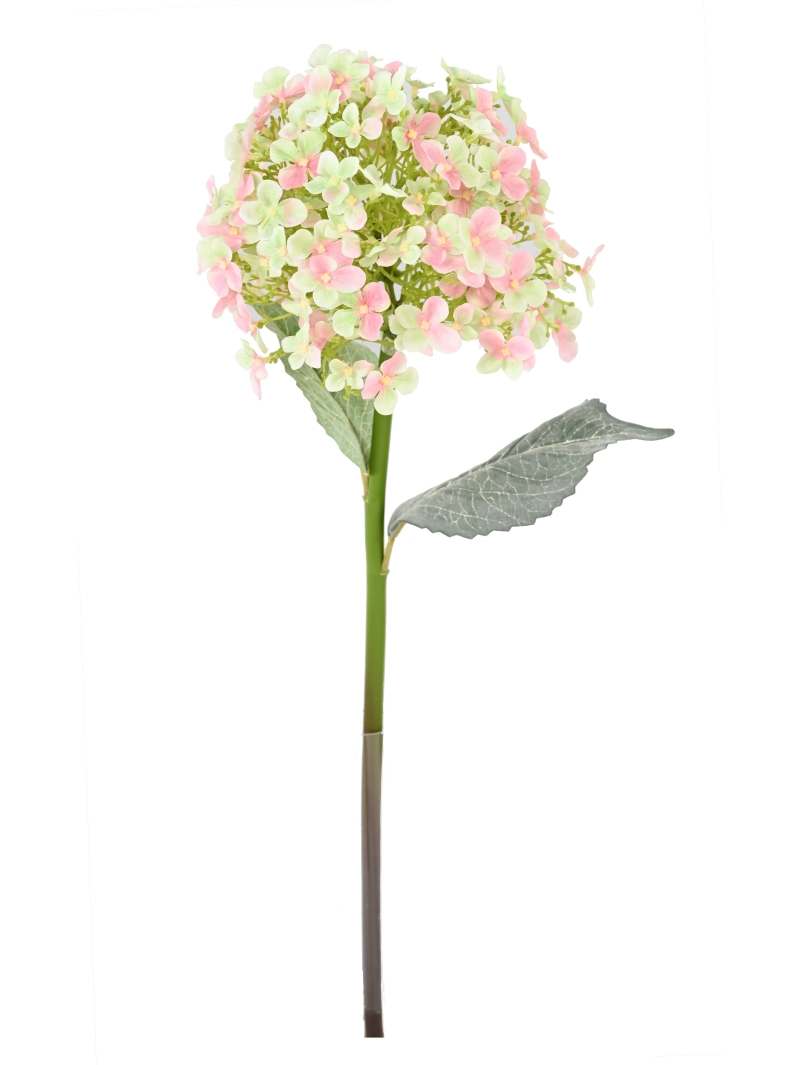 HORTENTIA ARTIFICIEL