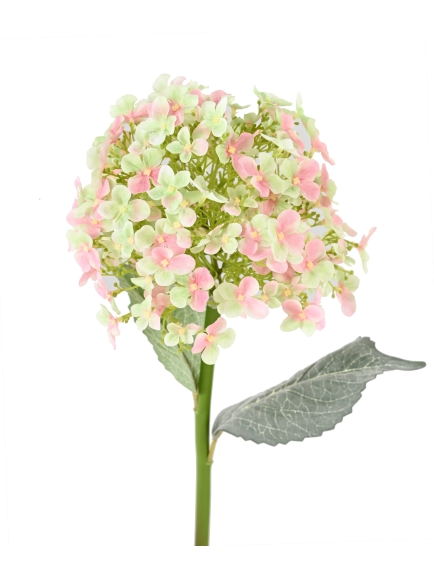 HORTENTIA ARTIFICIEL