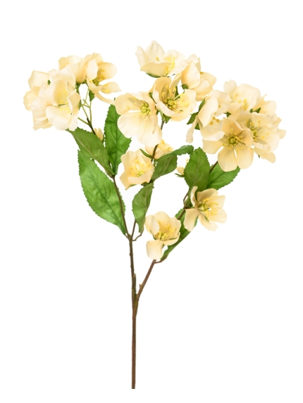 HELLEBORE ARTIFICIELLE