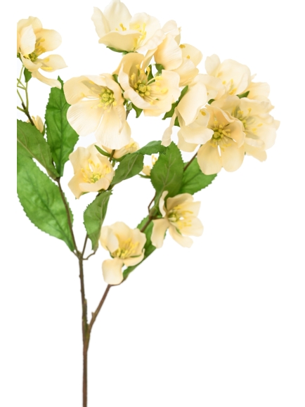 HELLEBORE ARTIFICIELLE