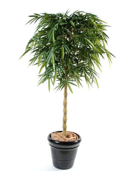 Bambou artificiel new Bouddha - Hauteur 180 cm