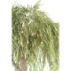 SAULE ARTIFICIEL WILLOW TREE