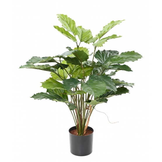 TETRASTIGMA ARTIFICIEL 45 FEUILLES