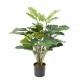 TETRASTIGMA ARTIFICIEL 45 FEUILLES
