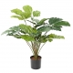 TETRASTIGMA ARTIFICIEL 45 FEUILLES