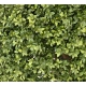 Buis boule artificiel NEW - de 22 a 130 cm de diametre