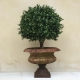 Buis boule artificiel NEW - de 22 a 130 cm de diametre