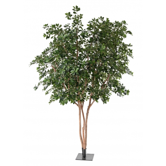 FICUS ARTIFICIEL BLACK OLIVE TREE 310