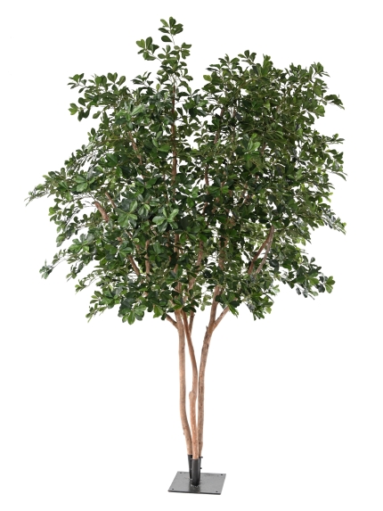 FICUS ARTIFICIEL BLACK OLIVE