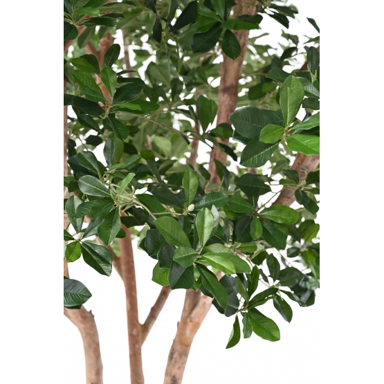 FICUS ARTIFICIEL BLACK OLIVE TREE 310