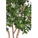 FICUS ARTIFICIEL BLACK OLIVE