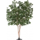 FICUS ARTIFICIEL BLACK OLIVE
