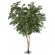 FICUS ARTIFICIEL BLACK OLIVE