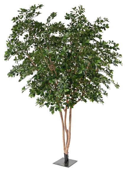 FICUS ARTIFICIEL BLACK OLIVE