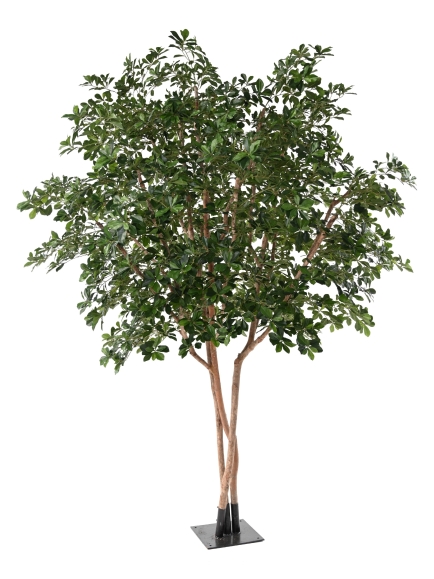 FICUS ARTIFICIEL BLACK OLIVE